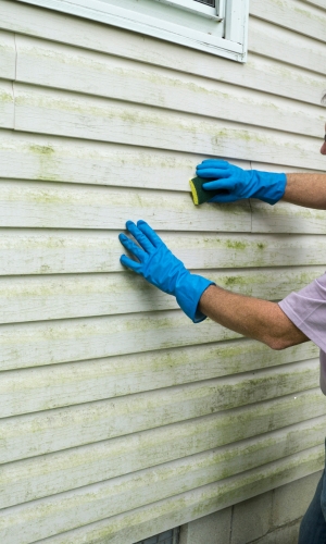hail damage on exterior paint Colorado Springs
