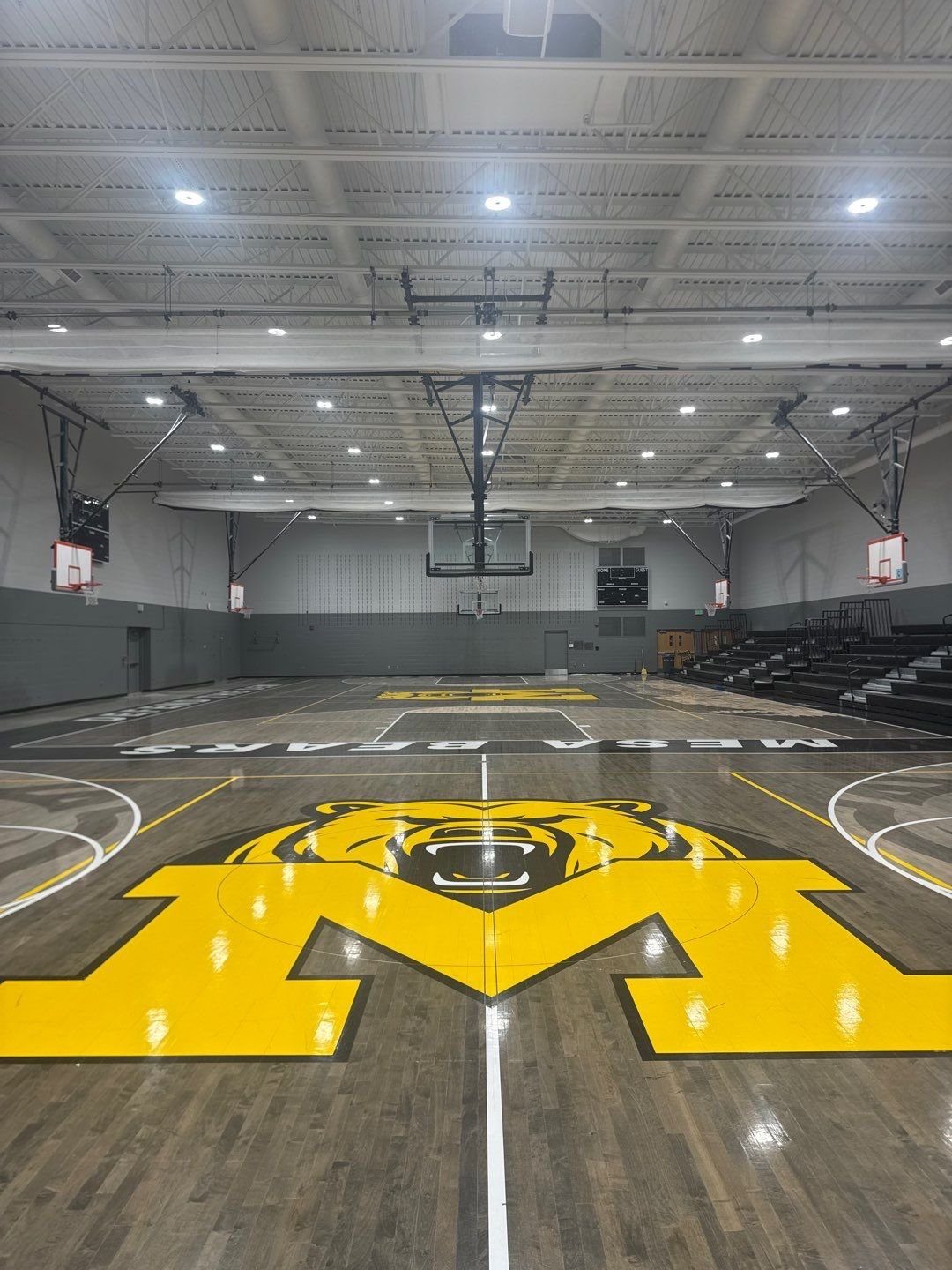 Mesa Middle School gym in Castle Rock, CO, after a repaint with two-tone gray and white walls around the Mesa Bears floor