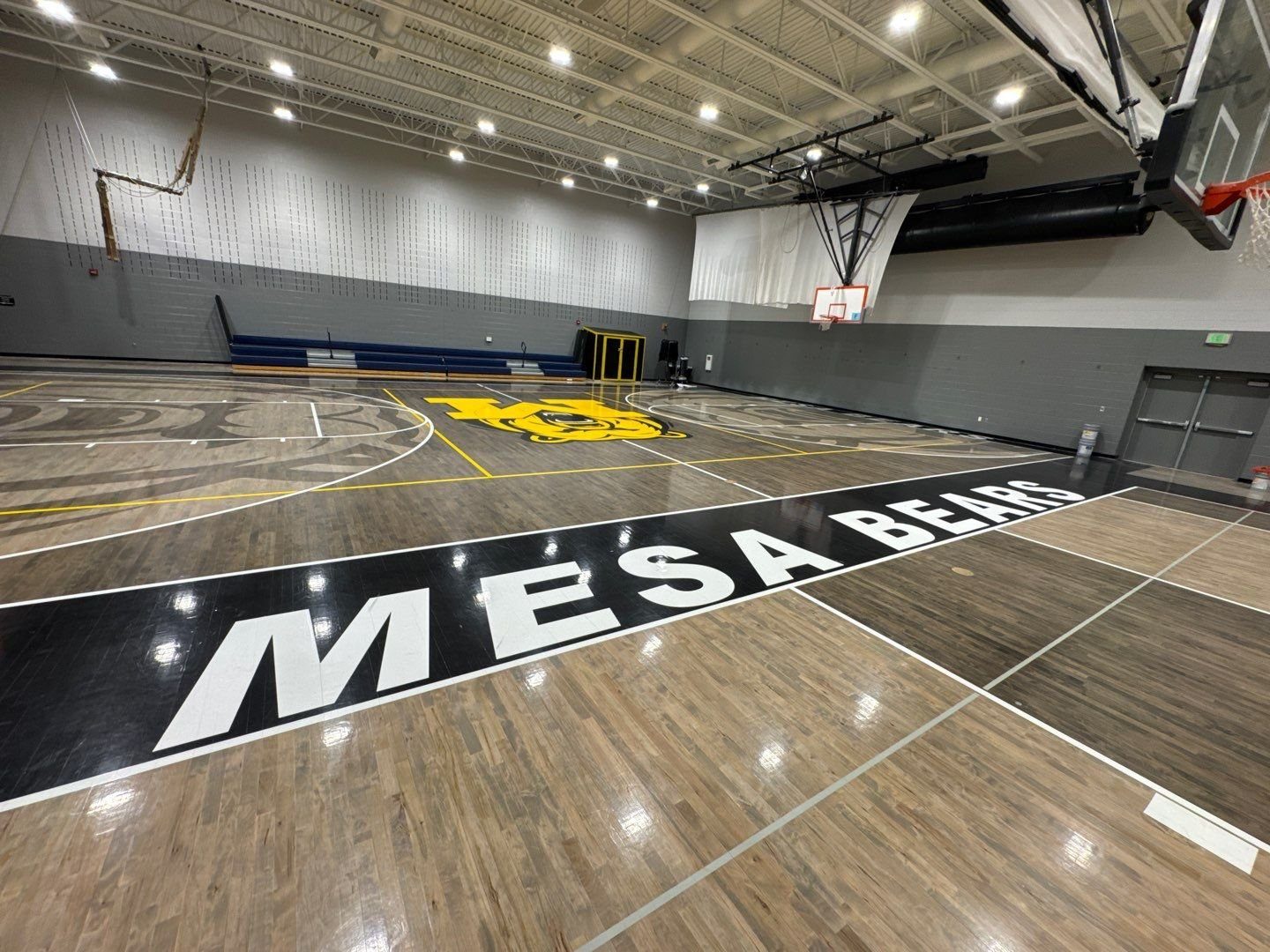 Mesa Bears court lettering and repainted gray and white gym walls at Mesa Middle School